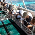 Lady Musgrave Day Trip from Bundaberg Including Snorkeling - FAQ