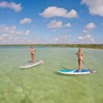 Lagoon Paddleboarding Tour in Tulum - Who is this tour best suited for?