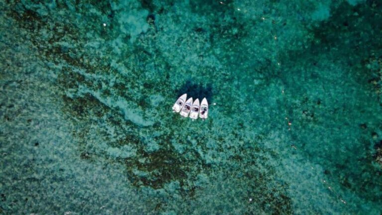 Lagoon ride and snorkeling - What’s Included and What’s Not