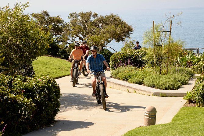 Laguna Beach Backroads Electric Bike Tour - Who Should Consider This Tour?