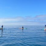 Laguna Beach Stand Up Paddle Activity - Why This Tour Might Be Perfect for You
