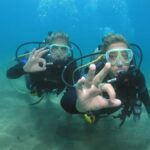 Lahaina: Intro Scuba Reef Dive Kaanapali For Strong Swimmers - The Experience in Detail: What’s It Like?