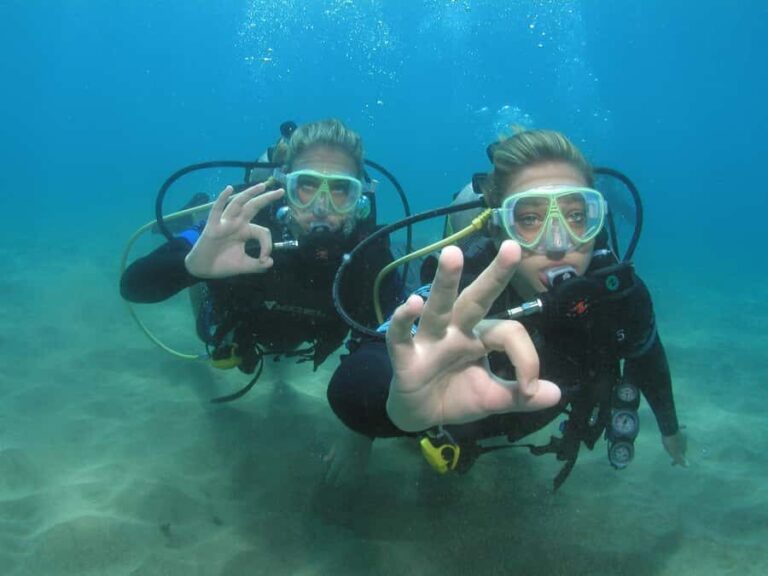 Lahaina: Intro Scuba Reef Dive Kaanapali For Strong Swimmers - The Experience in Detail: What’s It Like?