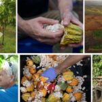 Lahaina: Maui Ku'ia Estate Guided Cacao Farm Tour & Tasting - The Value of the Experience
