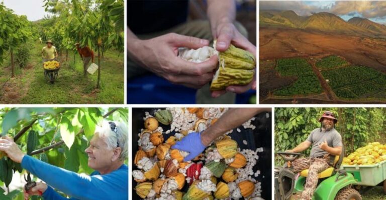 Lahaina: Maui Ku'ia Estate Guided Cacao Farm Tour & Tasting - The Value of the Experience
