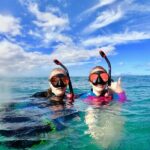Lahaina Small Group Snorkeling Adventure - The Marine Life You Might Encounter
