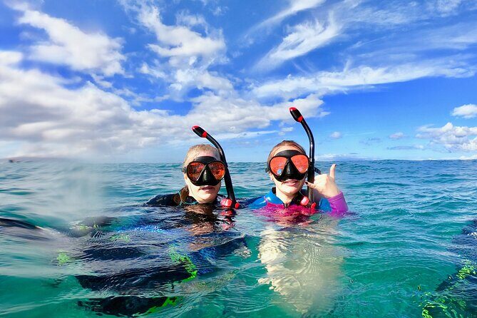 Lahaina Small Group Snorkeling Adventure - The Marine Life You Might Encounter