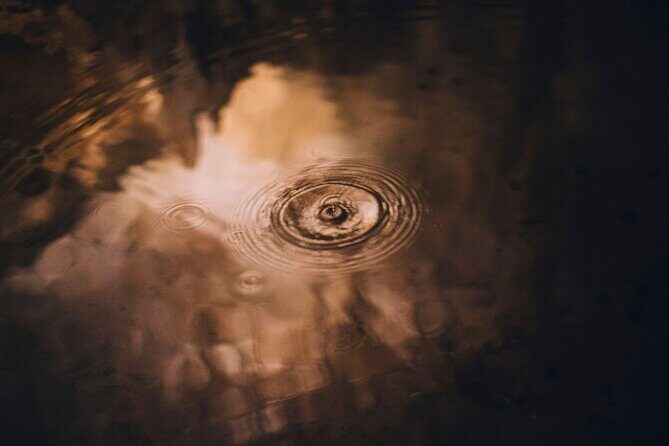 Lake Cave Fully Guided Tour - How Does the Price Stack Up?