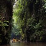 Lake Karapiro: Evening Kayak Glowworm Tour - FAQs