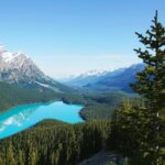 Lake Louise Moraine Lake Peyto Lake Icefield Parkway Day Trip - Transportation and Group Size