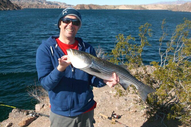 Lake Mead Striped Bass Fishing Getaway - Pricing and Value
