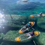 Lake Tahoe: Clear Kayak Tour - The Paddling and Viewing Experience