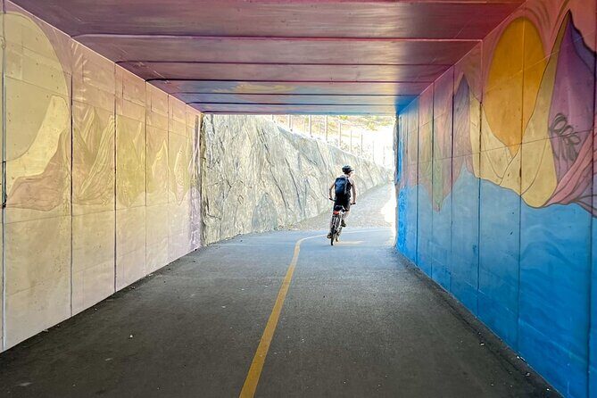 Lake Tahoe: Full Day Self-Guided Bike Tour - Final Thoughts