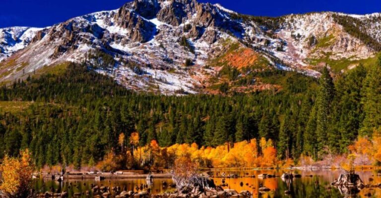 Lake Tahoe: Half-Day Photographic Scenic Tour - The Itinerary in Detail