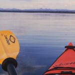 Lake Yellowstone Half Day Kayak Tours Past Geothermal Features - The Itinerary: What You Can Expect