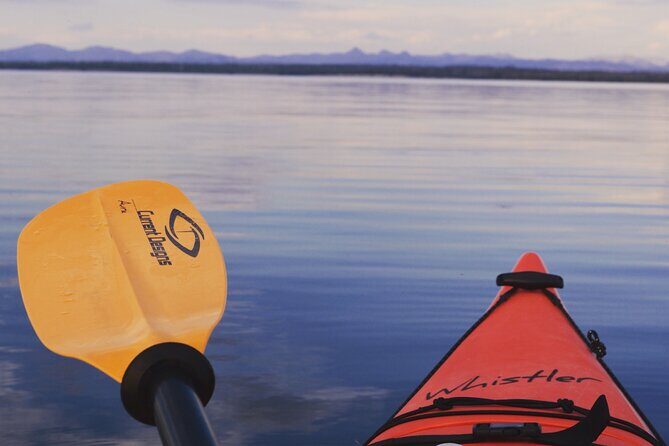 Lake Yellowstone Half Day Kayak Tours Past Geothermal Features - The Itinerary: What You Can Expect