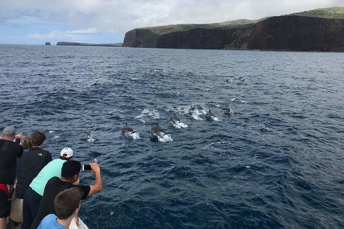 Lanai Snorkel and Dolphin Watch from Maalaea - FAQs