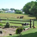 Lancaster: Amish Experience Visit-in-Person Tour of 3 Farms - FAQ