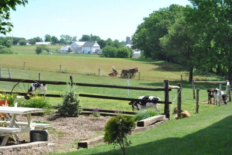 Lancaster: Amish Experience Visit-in-Person Tour of 3 Farms - FAQ