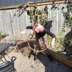 Lancaster City Scavenger Hunt - Who Is This Best For?