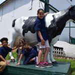 Lancaster County: Amish Farmlands, Museum Tour, Farm Visit - The Sum Up