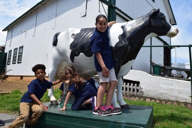 Lancaster County: Amish Farmlands, Museum Tour, Farm Visit - The Sum Up