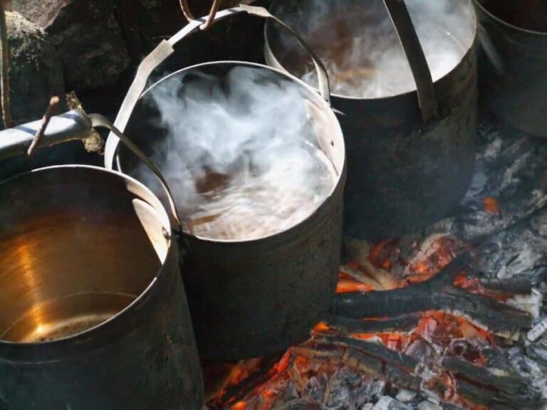 LARC! Paradise Tour: Beach, Lunch and Sandboarding - Practical Details and Why It Matters