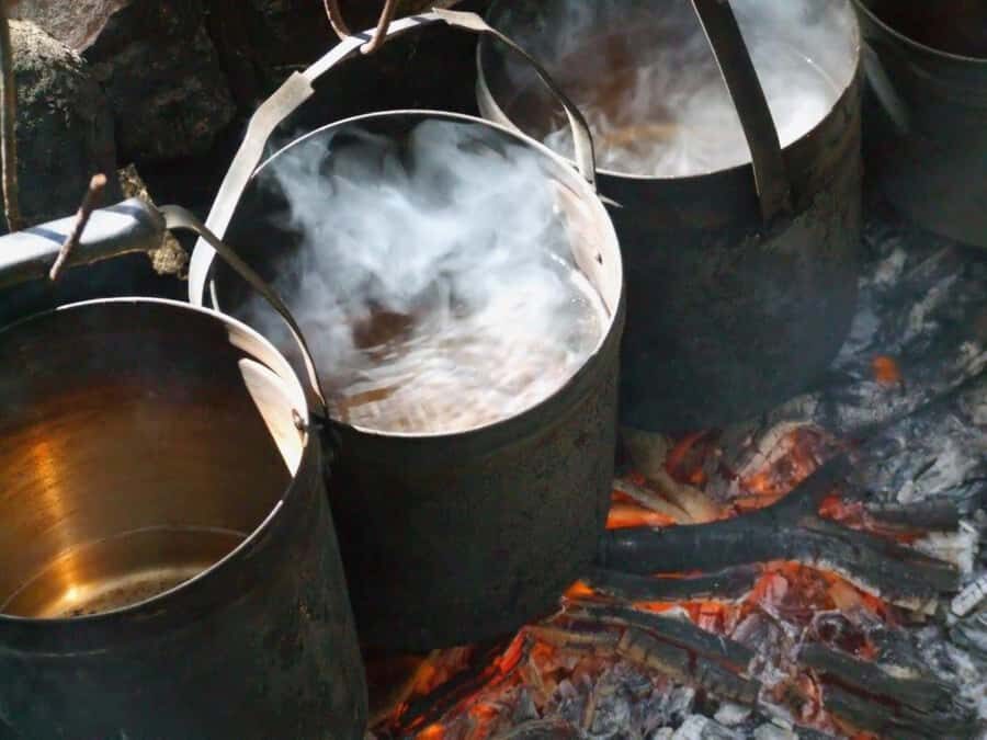 LARC! Paradise Tour: Beach, Lunch and Sandboarding - Practical Details and Why It Matters