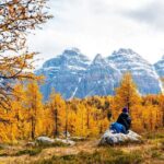 Larch Valley/Moraine Lake Shuttle Transfer from Banff and Canmore - A Deep Dive into the Experience