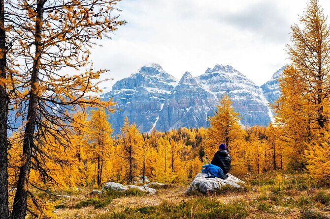 Larch Valley/Moraine Lake Shuttle Transfer from Banff and Canmore - A Deep Dive into the Experience