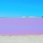 Las Coloradas Amazing Pink Lake & Rio Lagartos from Tulum - Practical Considerations and Tips