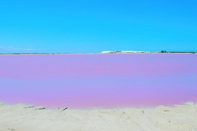 Las Coloradas Amazing Pink Lake & Rio Lagartos from Tulum - Practical Considerations and Tips