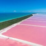 Las Coloradas and Rio Lagartos only from Merida - Starting Point: Playa Cancunito