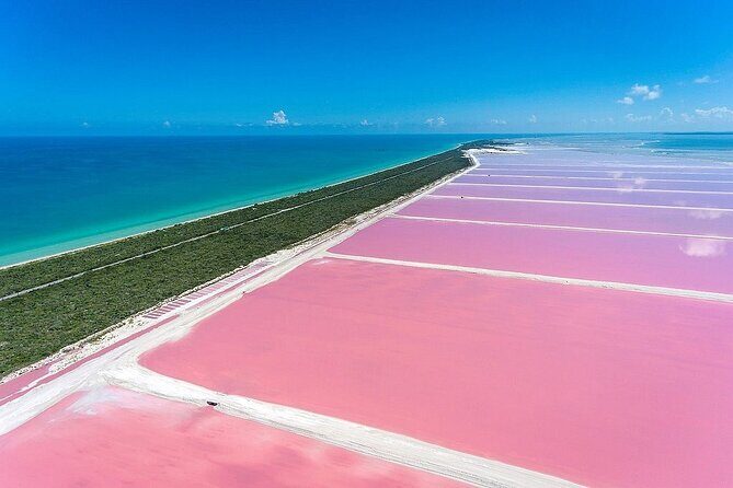 Las Coloradas and Rio Lagartos only from Merida - Starting Point: Playa Cancunito