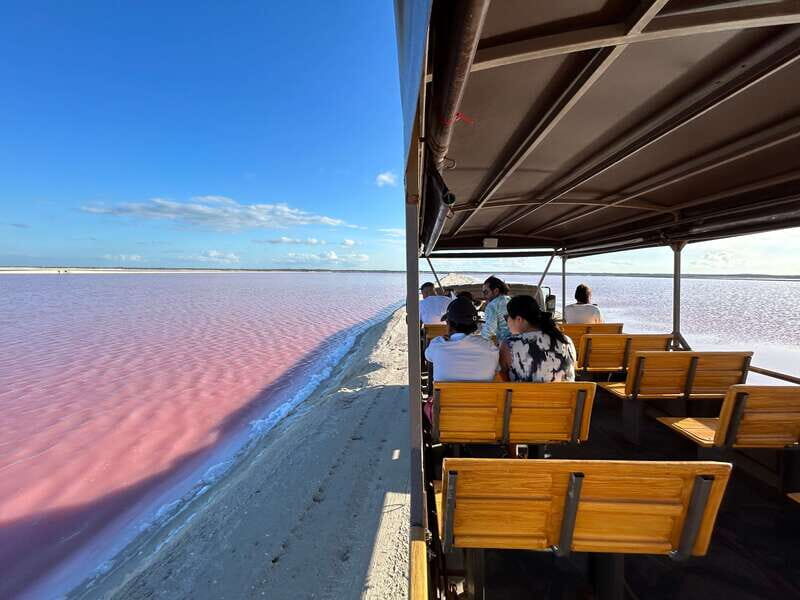 Las Coloradas: Pink Lakes Safari Tour - Real Traveler Insights