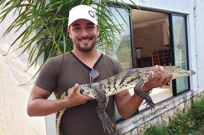 Las Coloradas - Transport, Timing, and Group Size