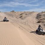 Las Vegas: Amazing Mojave Desert Nellis Dunes ATV Tour. - Who Will Love This Tour?