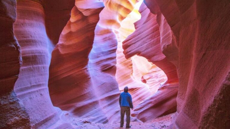 Las Vegas: Antelope Canyon & Horseshoe Bend Tour - The Value of Guided Tours in Natural Sites