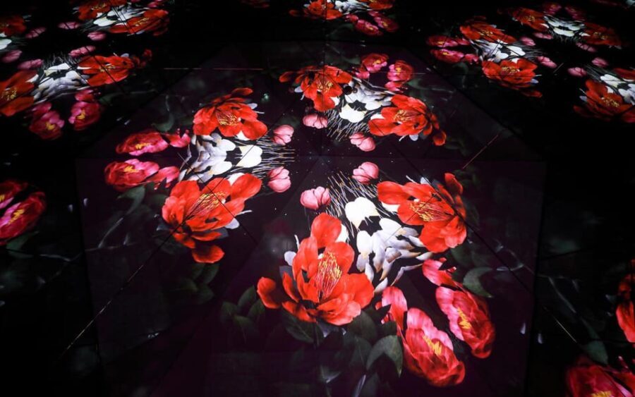 Las Vegas: Arte Museum Las Vegas Immersive Art Exhibition - Authentic Reviews and Real Traveler Insights