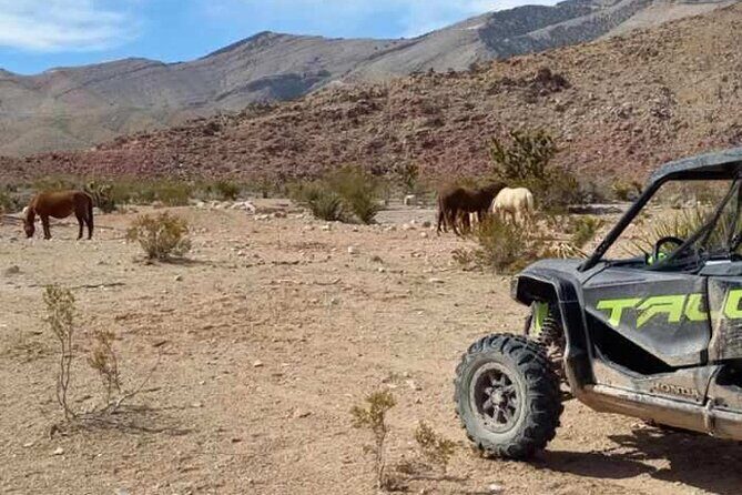 Las Vegas ATV/ RZR Off Road Adventure - FAQs