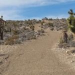 Las Vegas ATV Tours - The Experience Itself: From Start to Finish