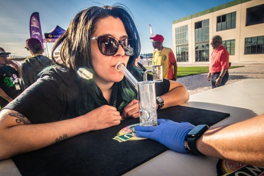 Las Vegas: Cannabis Tour with Weed Lounge & Party Bus - The Price and Value