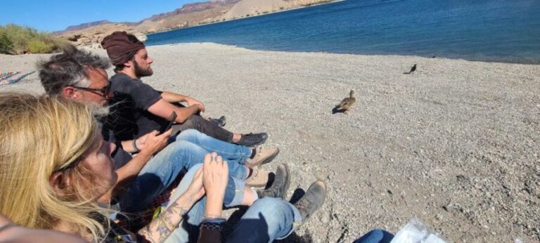 Las Vegas: Colorado River Adrenaline RZR Tour - Details & Logistics