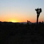 Las Vegas: Death Valley Sunset and Stargazing Tour - The Transportation and Group Experience