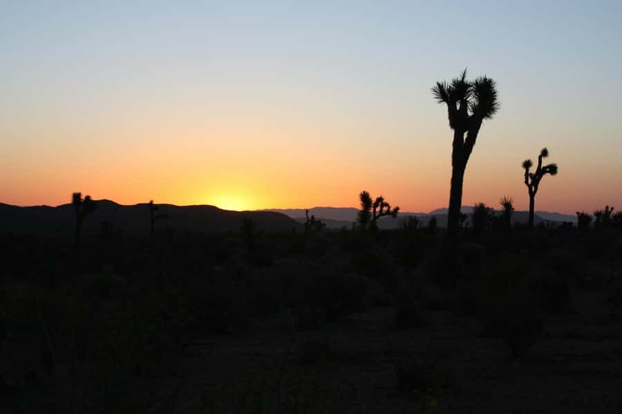 Las Vegas: Death Valley Sunset and Stargazing Tour - The Transportation and Group Experience