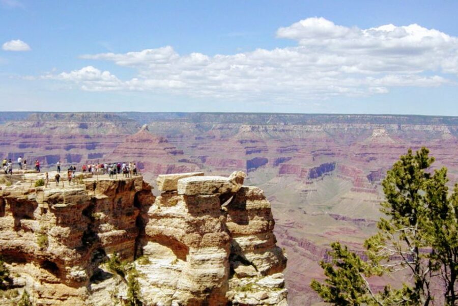 Las Vegas: Grand Canyon National Park South Rim Private Tour - Why the Price Matters