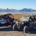 Las Vegas: Guided Las Vegas Desert Buggy Tour - What’s Included and What to Consider