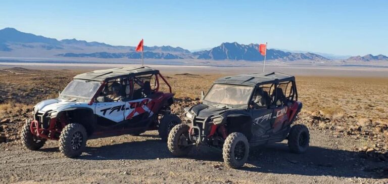 Las Vegas: Guided Las Vegas Desert Buggy Tour - What’s Included and What to Consider