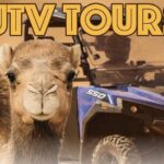 Las Vegas Guided UTV Safari and Zoo Tour - The Safari Tram and Animal Encounters