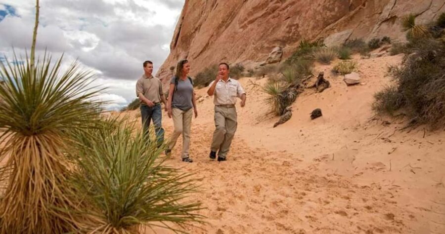 Las Vegas: Hoover Dam and Valley of Fire Combo Tour - Value and Cost Analysis